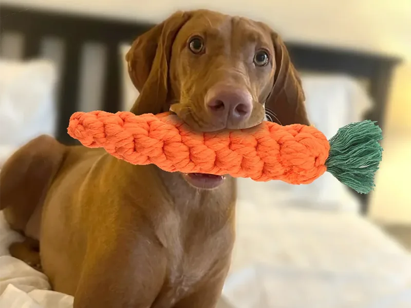 Typer af hunde tyggelegetøj